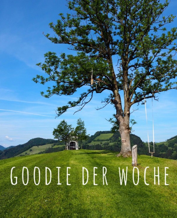goodblog: goodie der Woche