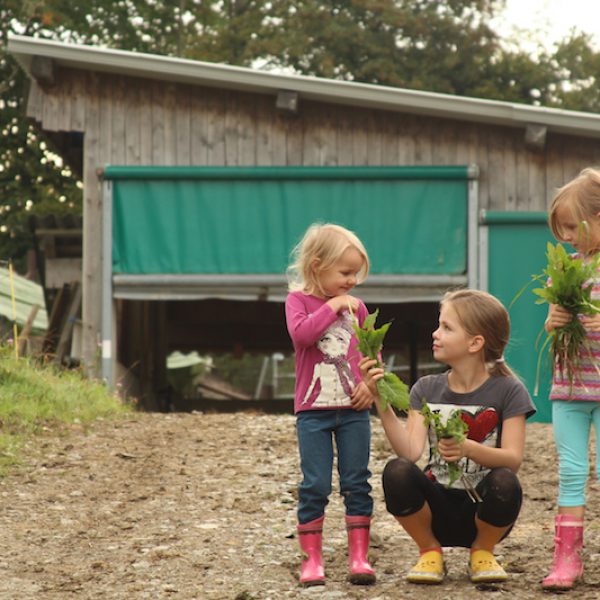 goodblog im Biomagazin: Schule am Biohof Losbichl (c) Burcusel/Huber