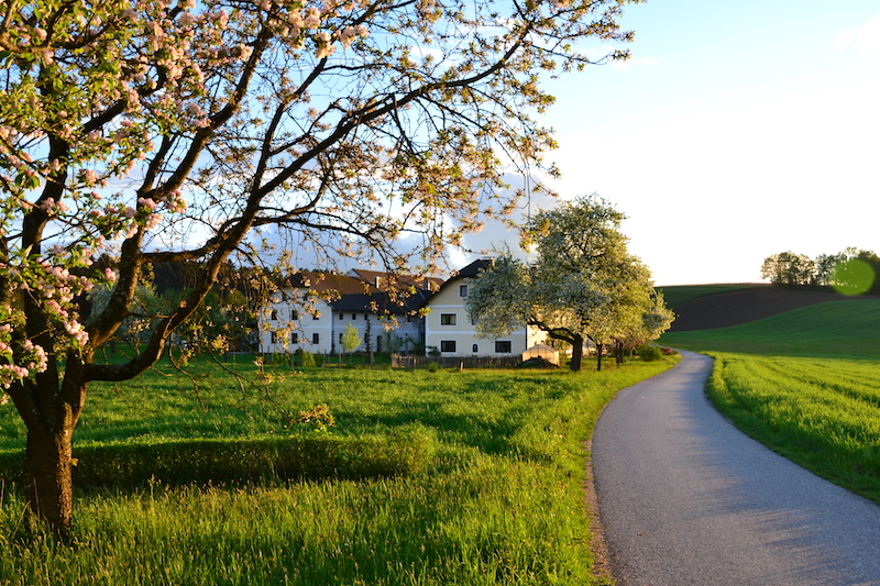 goodblog im Biomagazin: Jausenstation Hansberg und der Biohof Steinmayr