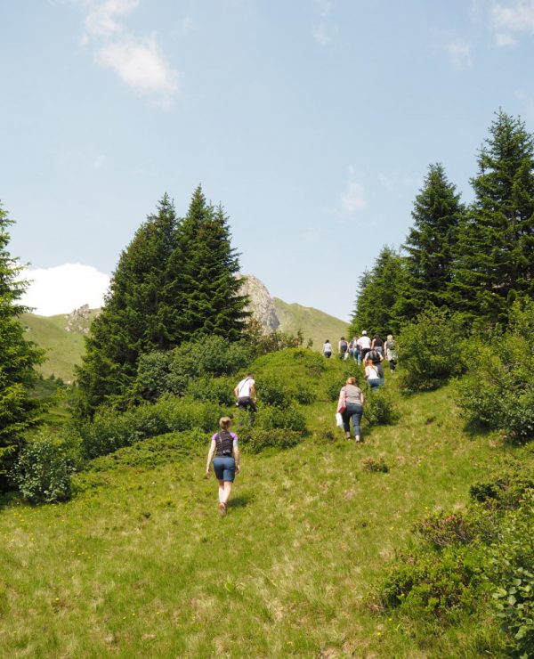 goodblog im Großarltal