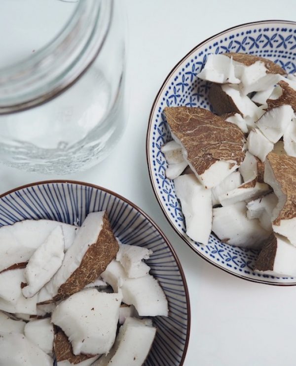 goodblog: Kokosmilch selbermachen