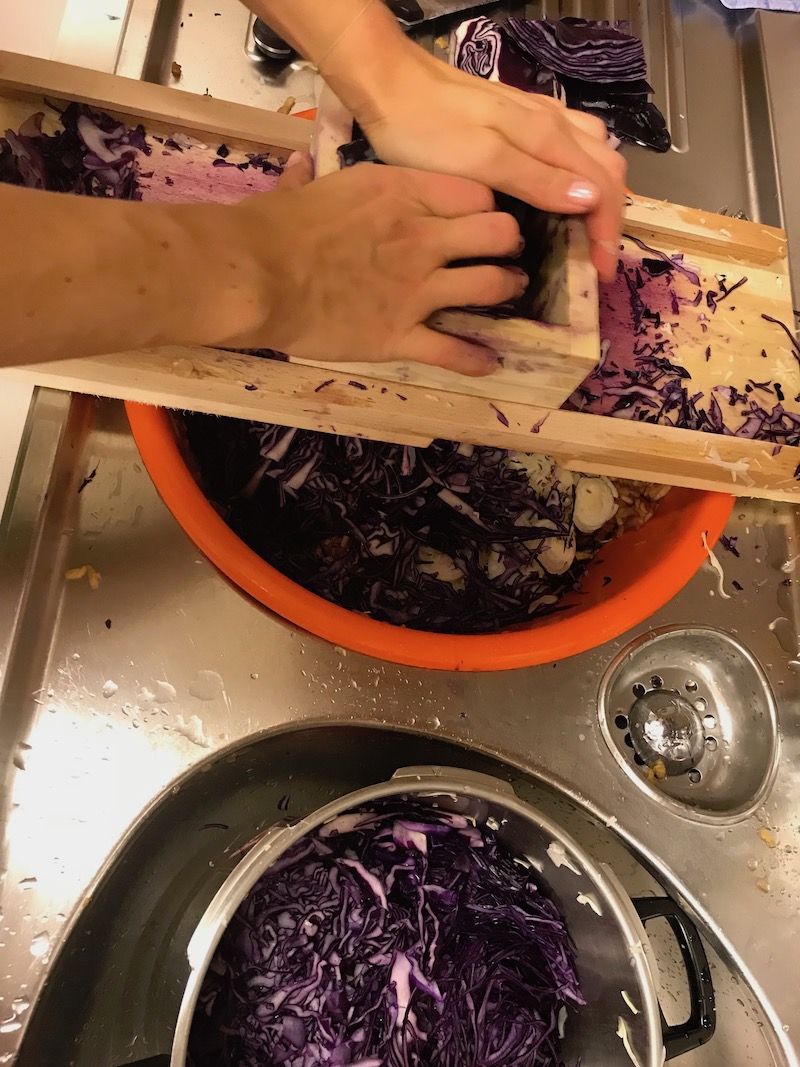 goodblog in der NEUEN Vorarlberger Tageszeitung: Gemüse fermentieren - Fermentiertes Rotkraut