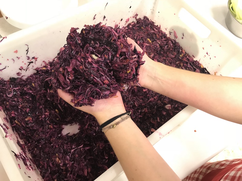goodblog in der NEUEN Vorarlberger Tageszeitung: Gemüse fermentieren - Fermentiertes Rotkraut