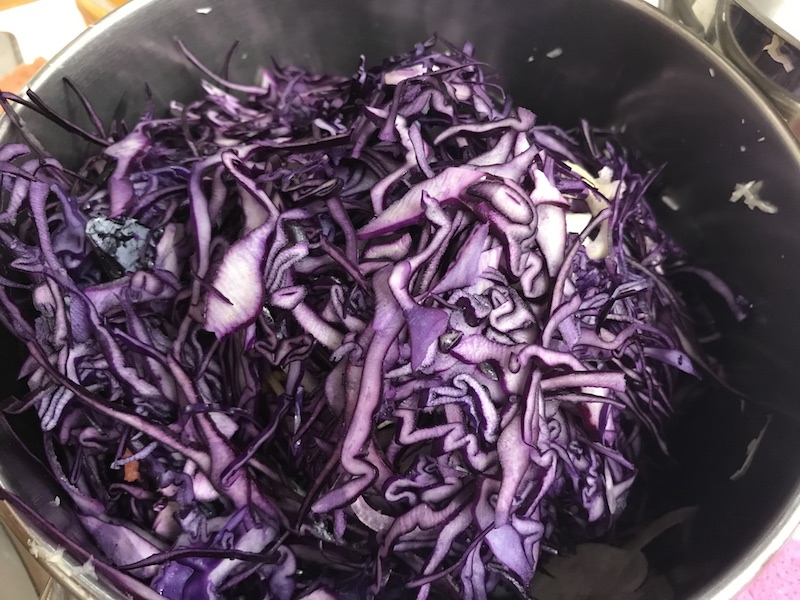 goodblog in der NEUEN Vorarlberger Tageszeitung: Gemüse fermentieren - Fermentiertes Rotkraut