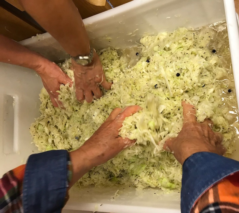 goodblog in der NEUEN Vorarlberger Tageszeitung: Gemüse fermentieren - Sauerkraut kneten