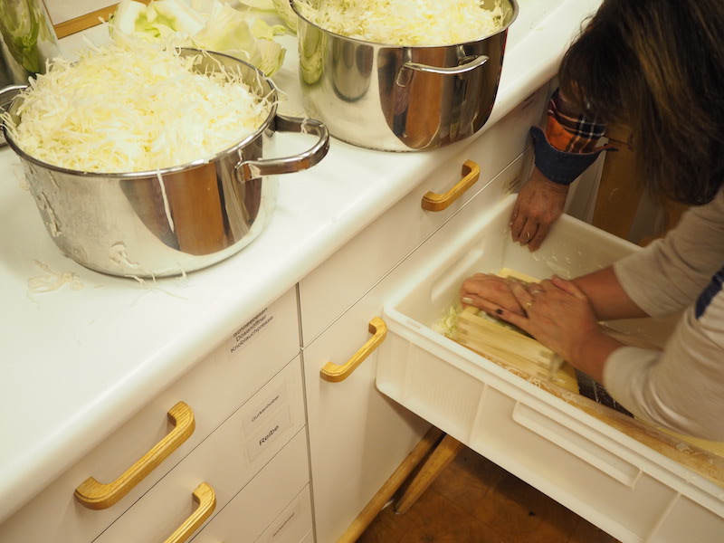 goodblog in der NEUEN Vorarlberger Tageszeitung: Gemüse fermentieren - Sauerkraut