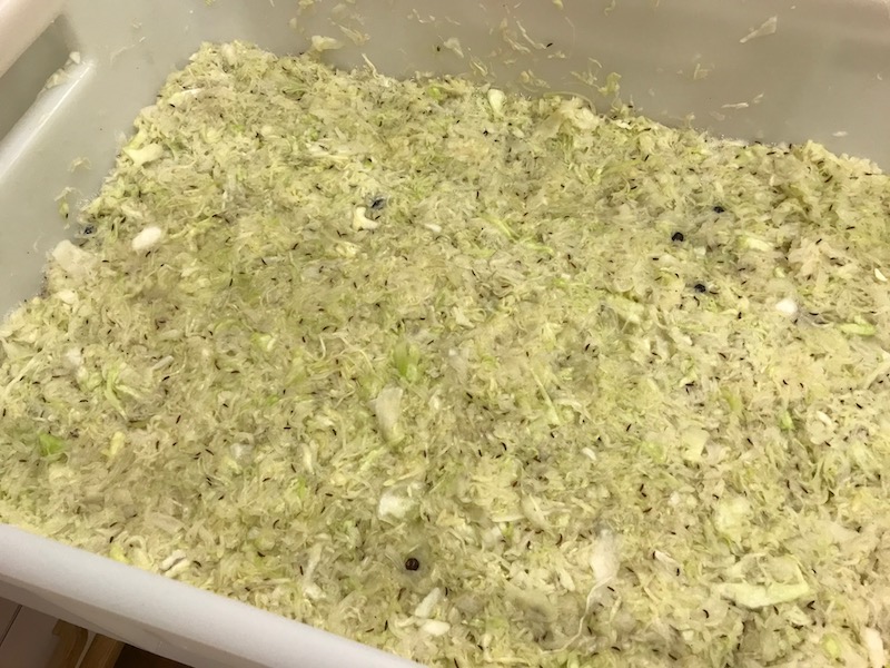 goodblog in der NEUEN Vorarlberger Tageszeitung: Gemüse fermentieren - Sauerkraut