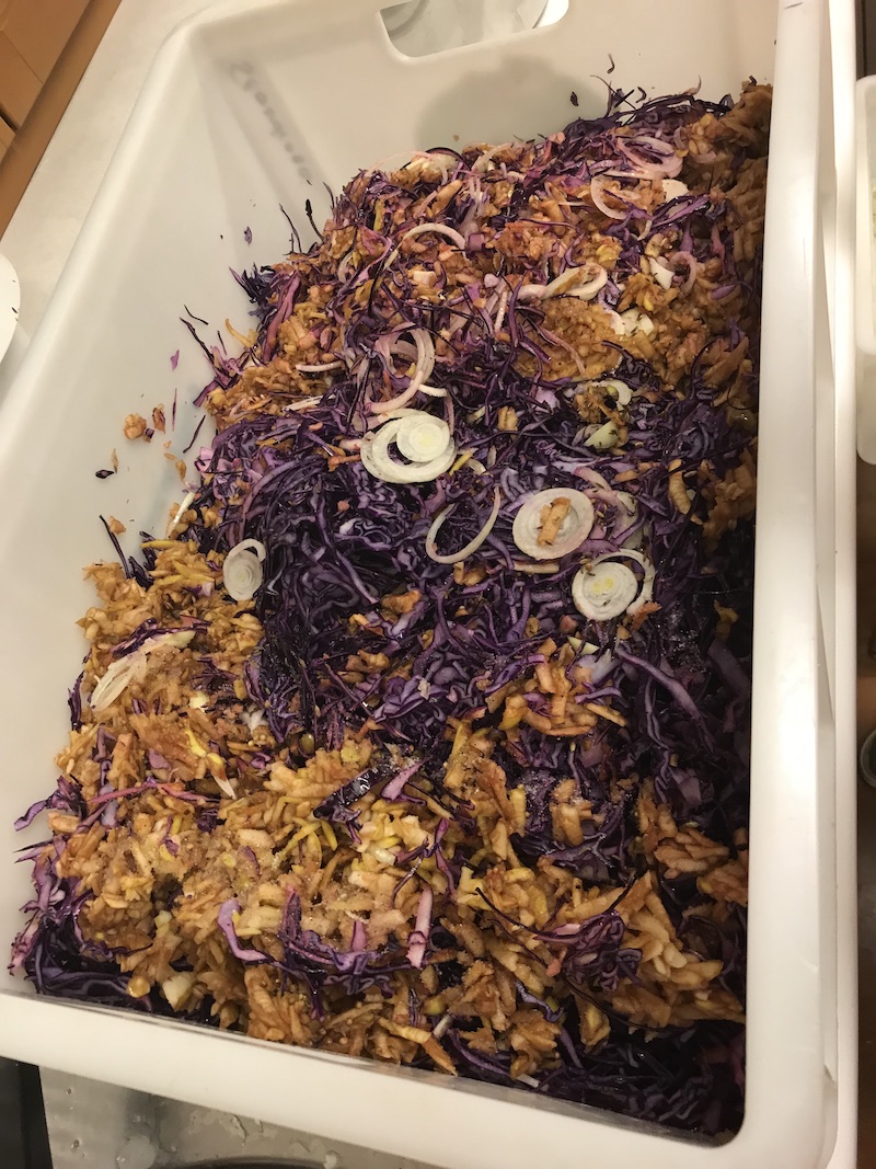 goodblog in der NEUEN Vorarlberger Tageszeitung: Gemüse fermentieren - Fermentiertes Rotkraut