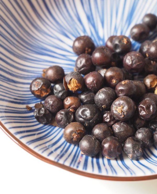 goodblog in der NEUEN Vorarlberger Tageszeitung: Wacholderbeeren