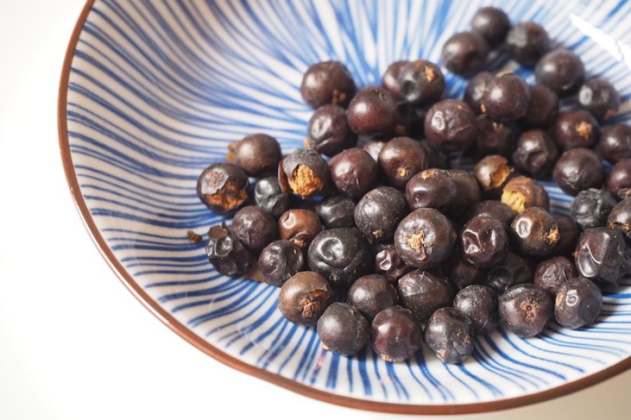 goodblog in der NEUEN Vorarlberger Tageszeitung: Wacholderbeeren