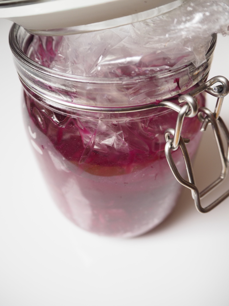 goodblog in der NEUEN Vorarlberger Tageszeitung: fermentiertes Gemüse - Rotkraut Tag 6
