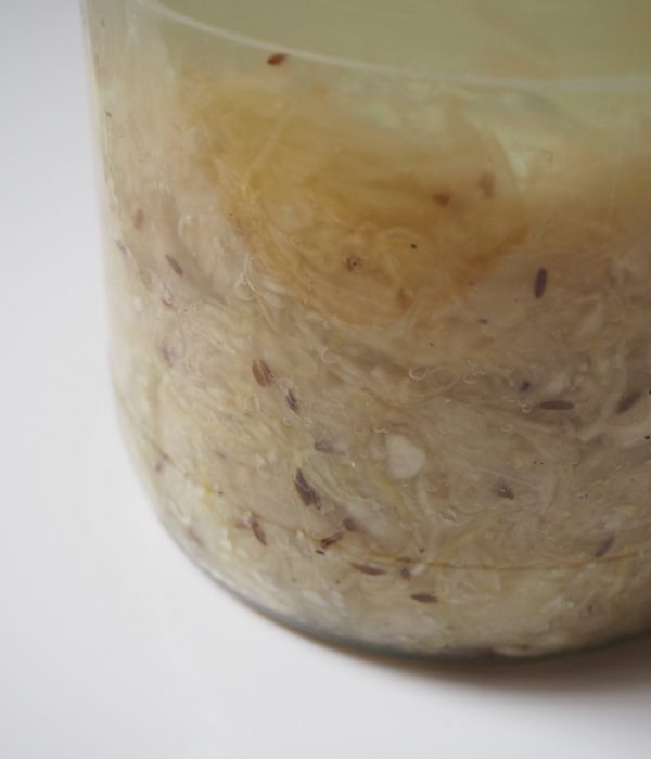 goodblog in der NEUEN Vorarlberger Tageszeitung: fermentiertes Gemüse - Sauerkraut Tag 6