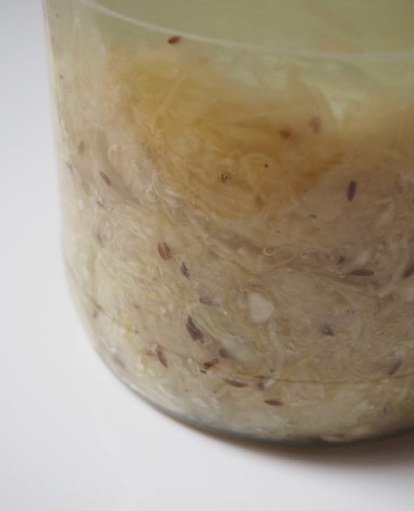 goodblog in der NEUEN Vorarlberger Tageszeitung: fermentiertes Gemüse - Sauerkraut Tag 6