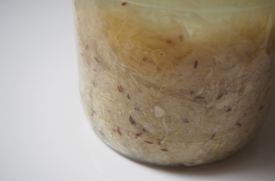 goodblog in der NEUEN Vorarlberger Tageszeitung: fermentiertes Gemüse - Sauerkraut Tag 6
