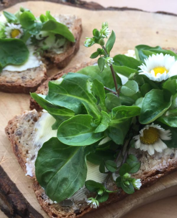 goodblog: Natürlich Entschlacken im Frühling - Kräuter aufs Brot