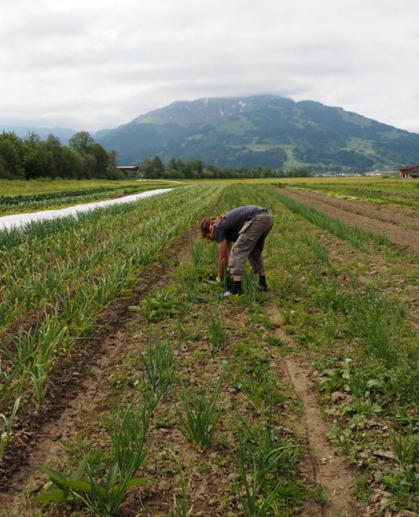 goodblog im Biomagazin - Bio statt Büro: Hüttschader Biogemüse, Toni Baldauf