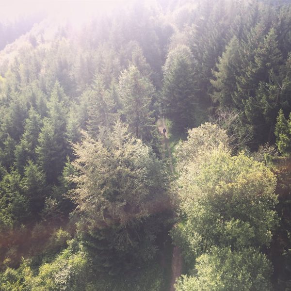 goodblog: Pilgern - Stefan Oberfellner